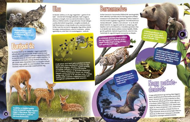 Magyarország állatvilága