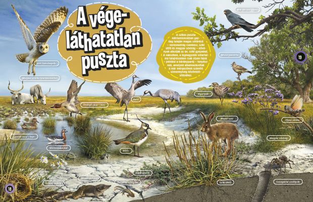 Magyarország állatvilága