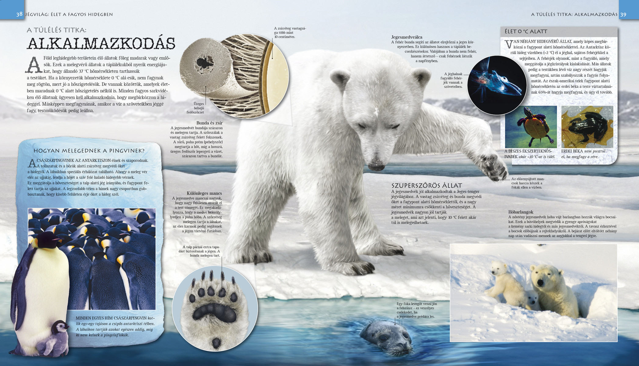 Jégvilág – Végtelen