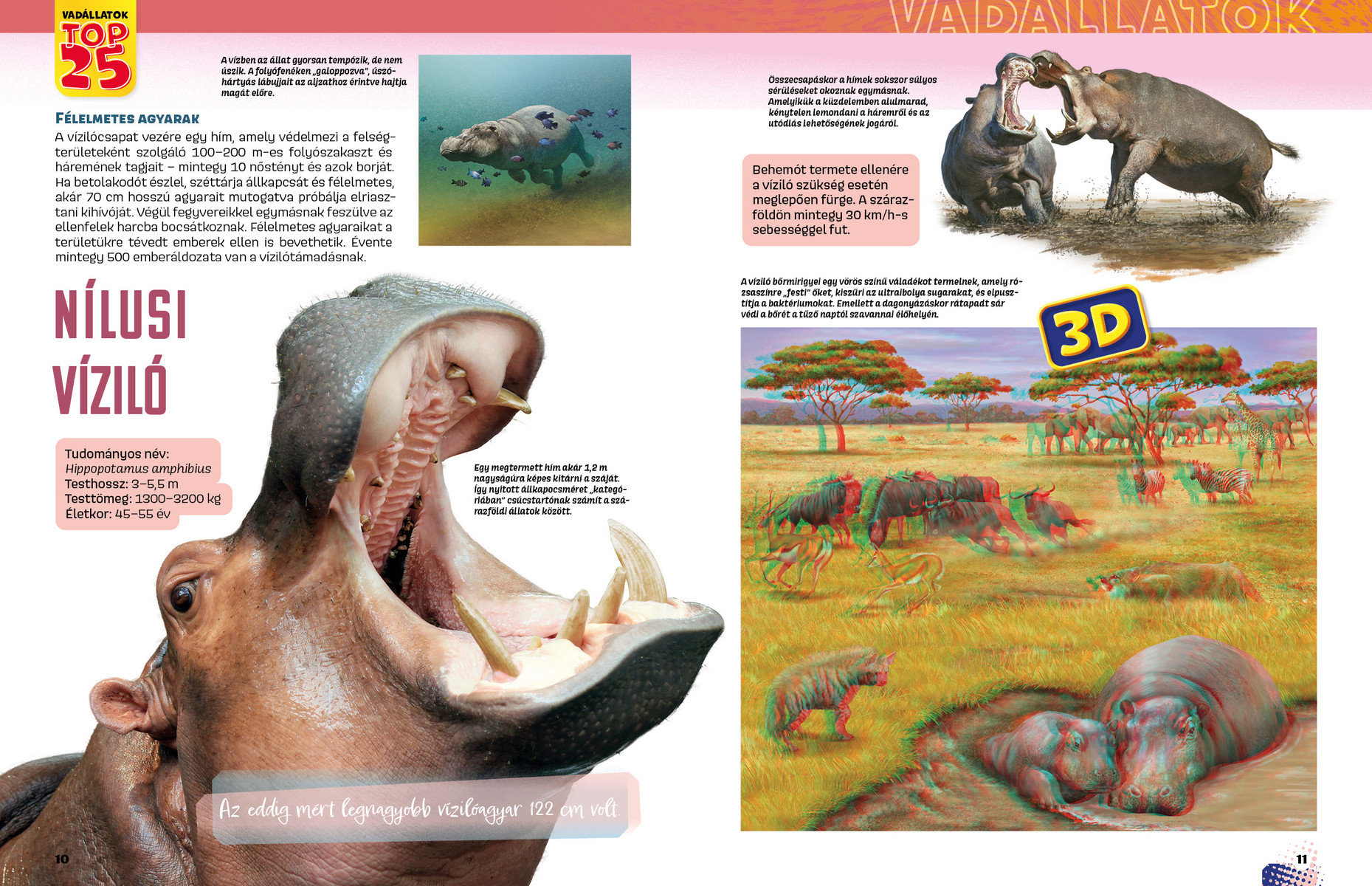 Vadállatok TOP25 - Veszélyesek 3D