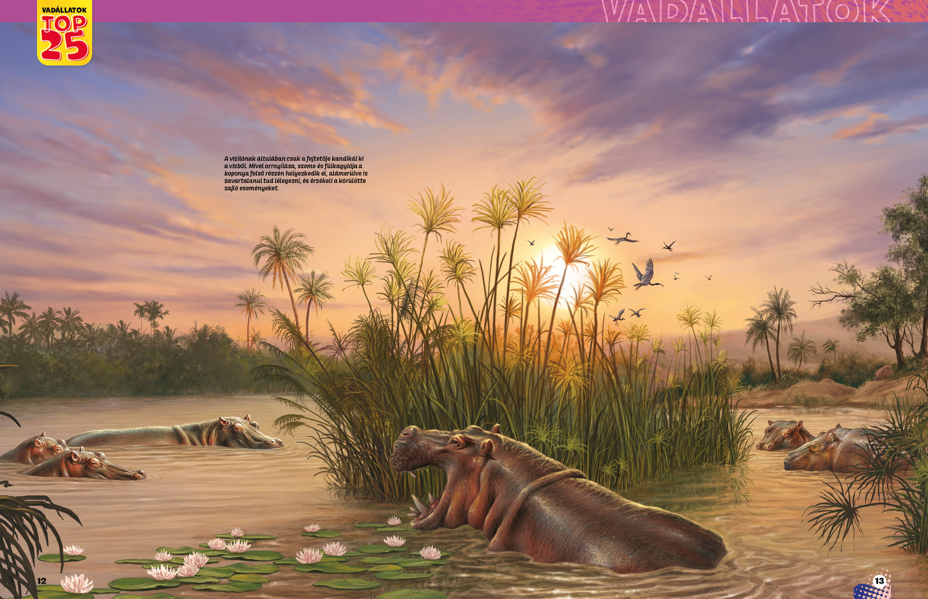 Vadállatok TOP25 - Veszélyesek 3D