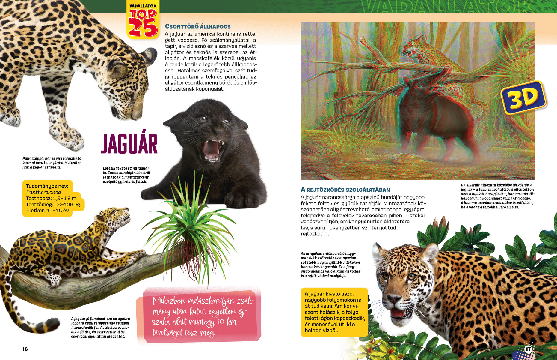 Vadállatok TOP25 - Veszélyesek 3D