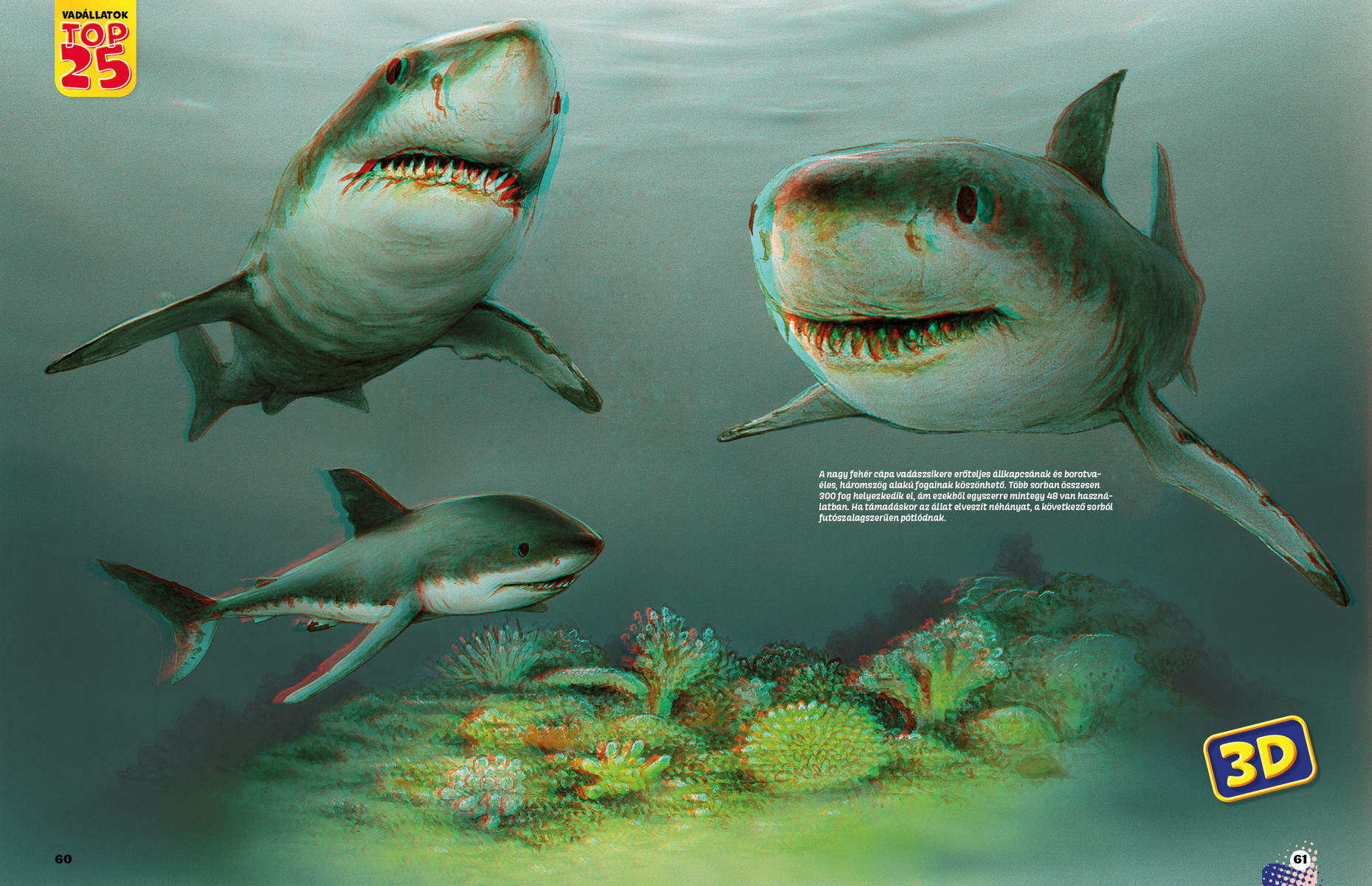Vadállatok TOP25 - Veszélyesek 3D