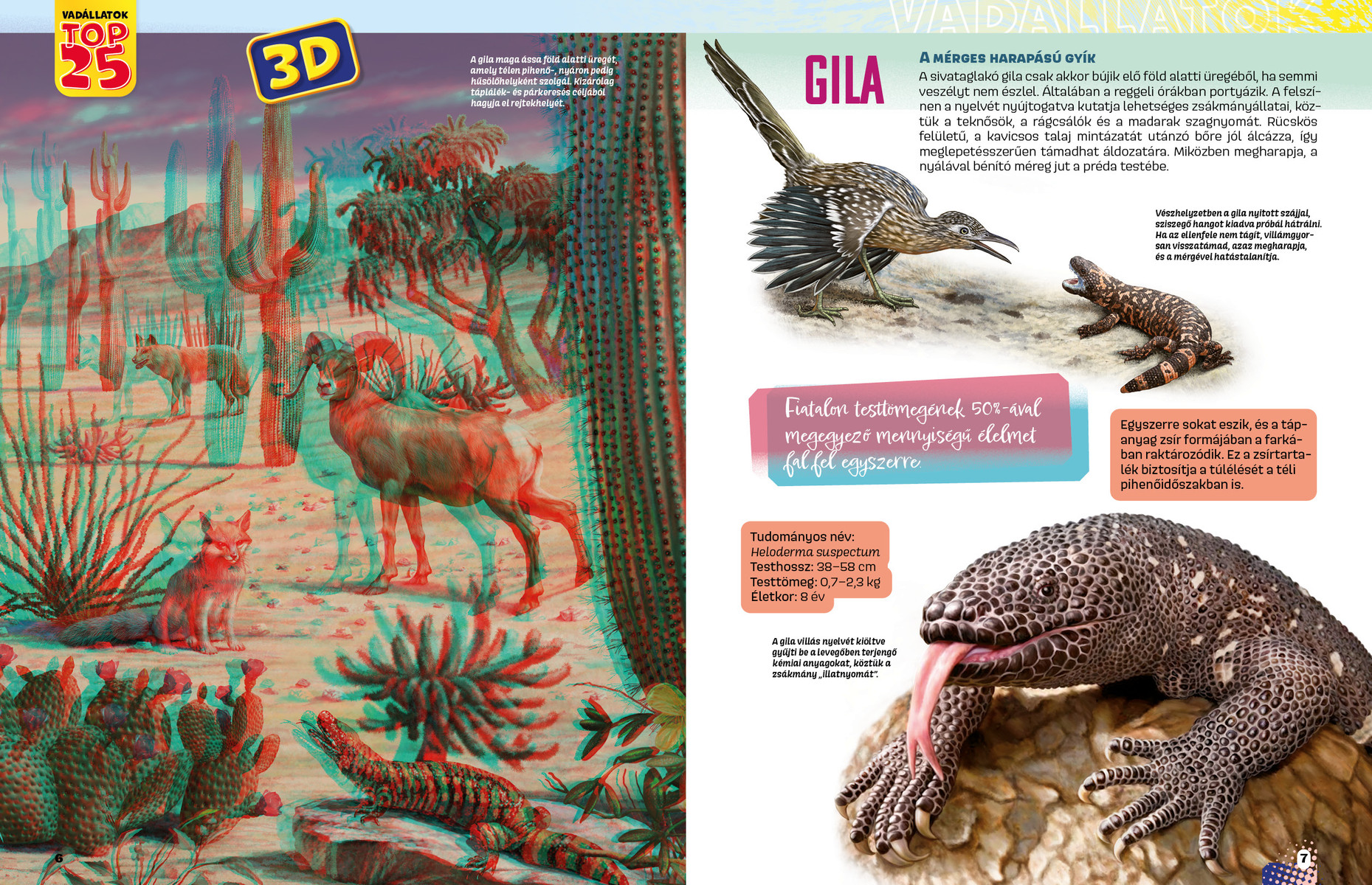 Vadállatok TOP25 - Veszélyesek 3D