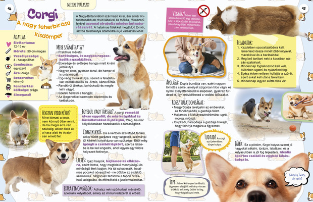 Kis kedvencek nagy enciklopédiája