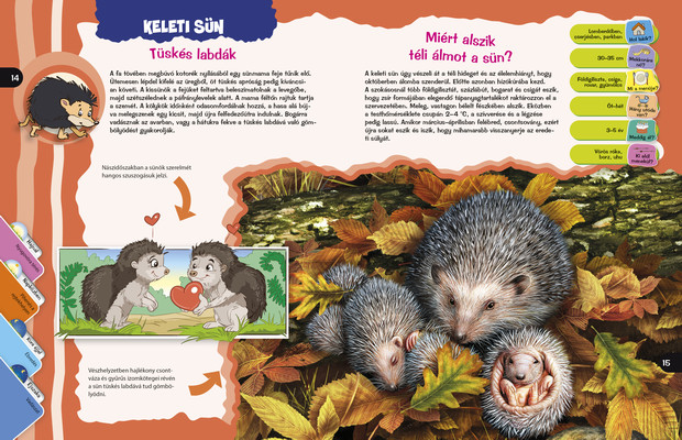 Lenyűgöző állatvilág