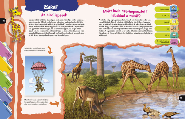 Lenyűgöző állatvilág