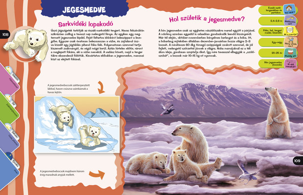 Lenyűgöző állatvilág