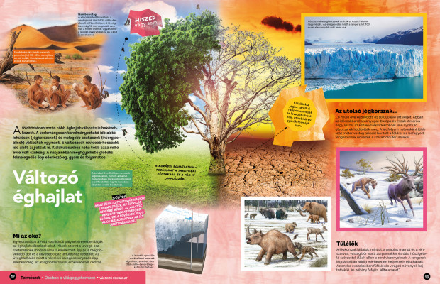 A mi bolygónk, a Föld