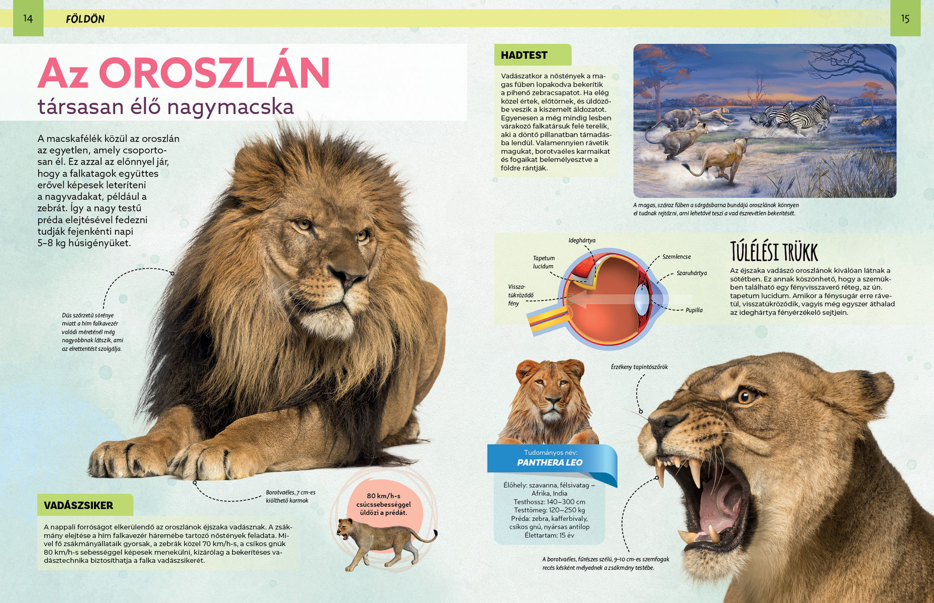 Szemtől szemben - Veszedelmes állatok