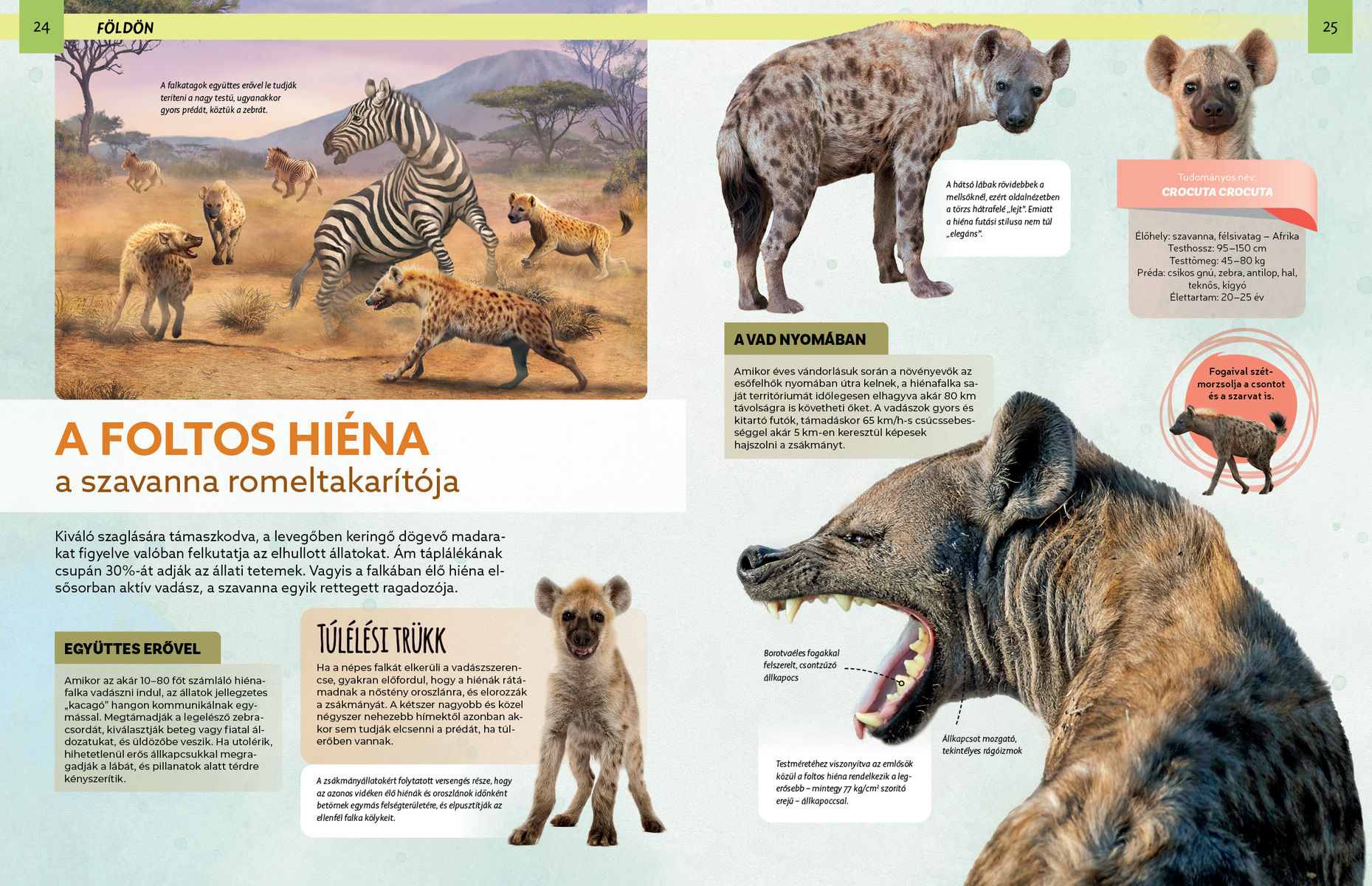 Szemtől szemben - Veszedelmes állatok