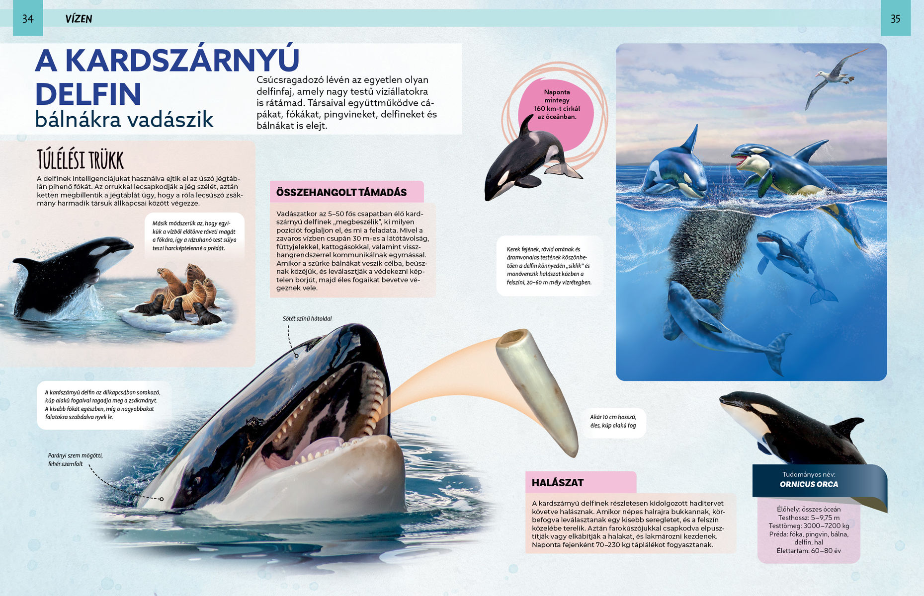 Szemtől szemben - Veszedelmes állatok