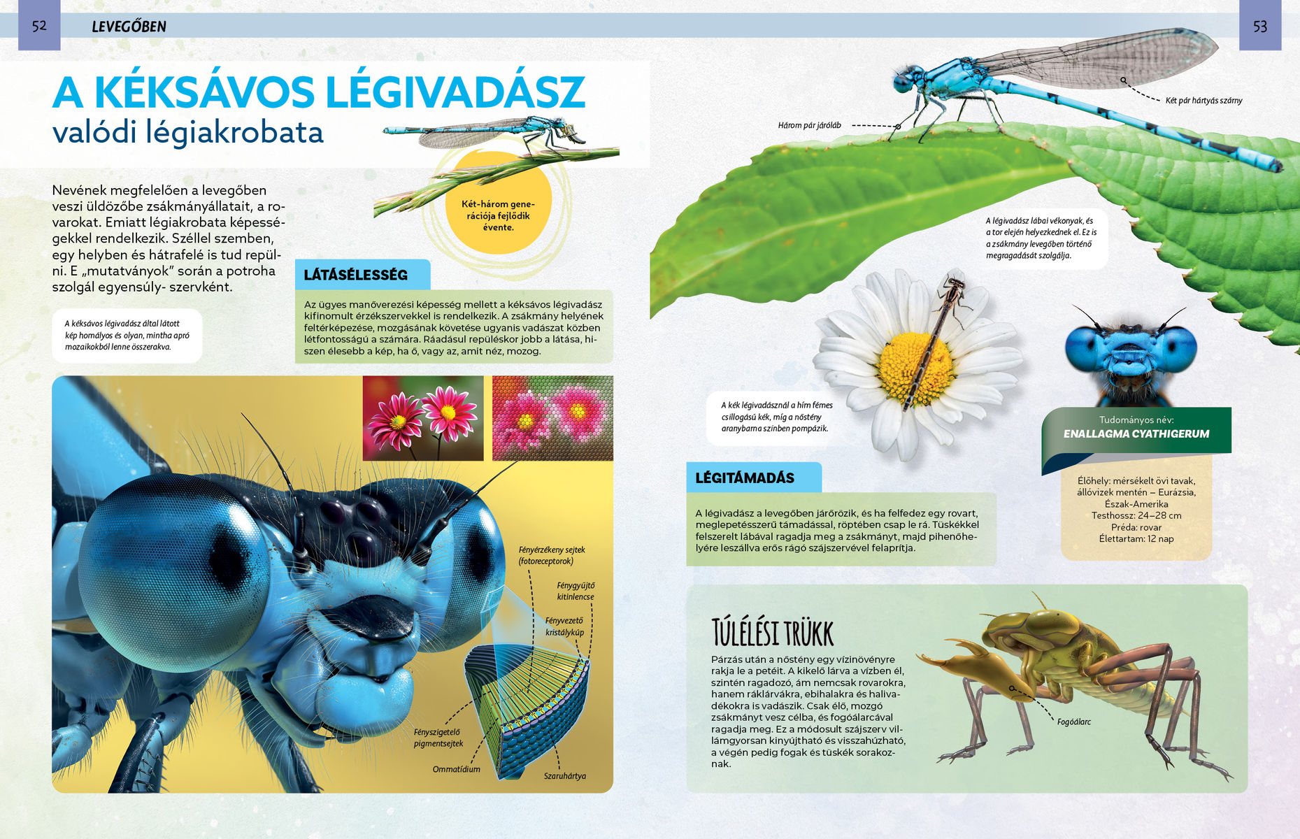 Szemtől szemben - Veszedelmes állatok