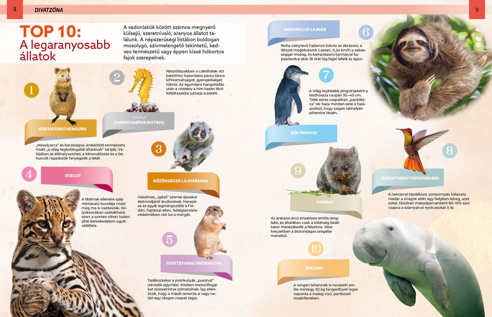 Szemtől szemben – Divatos állatok