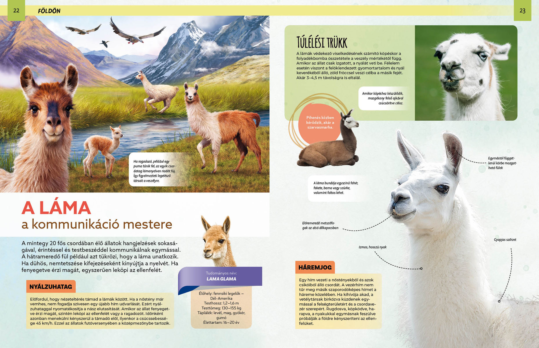 Szemtől szemben – Divatos állatok