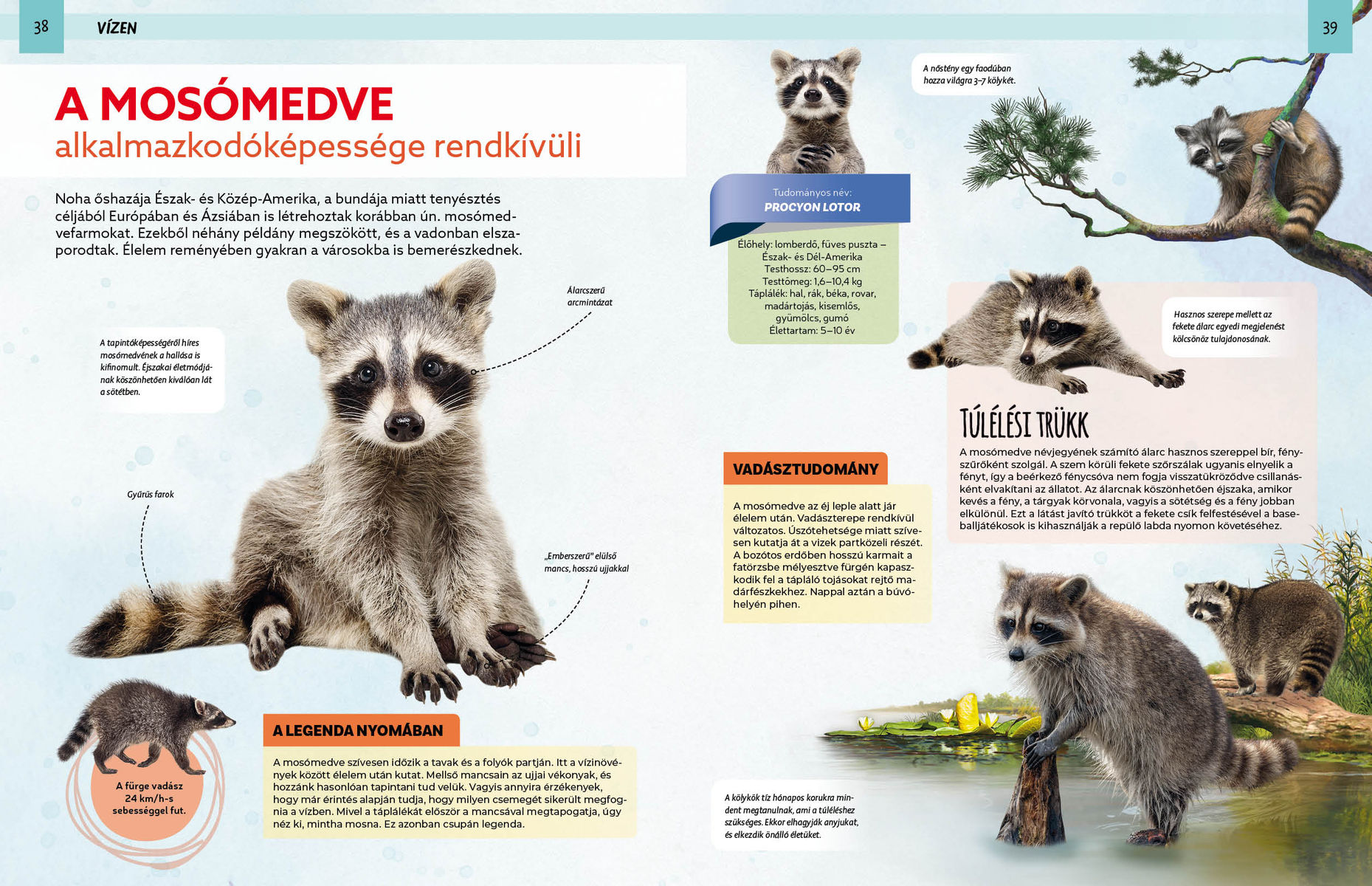 Szemtől szemben – Divatos állatok