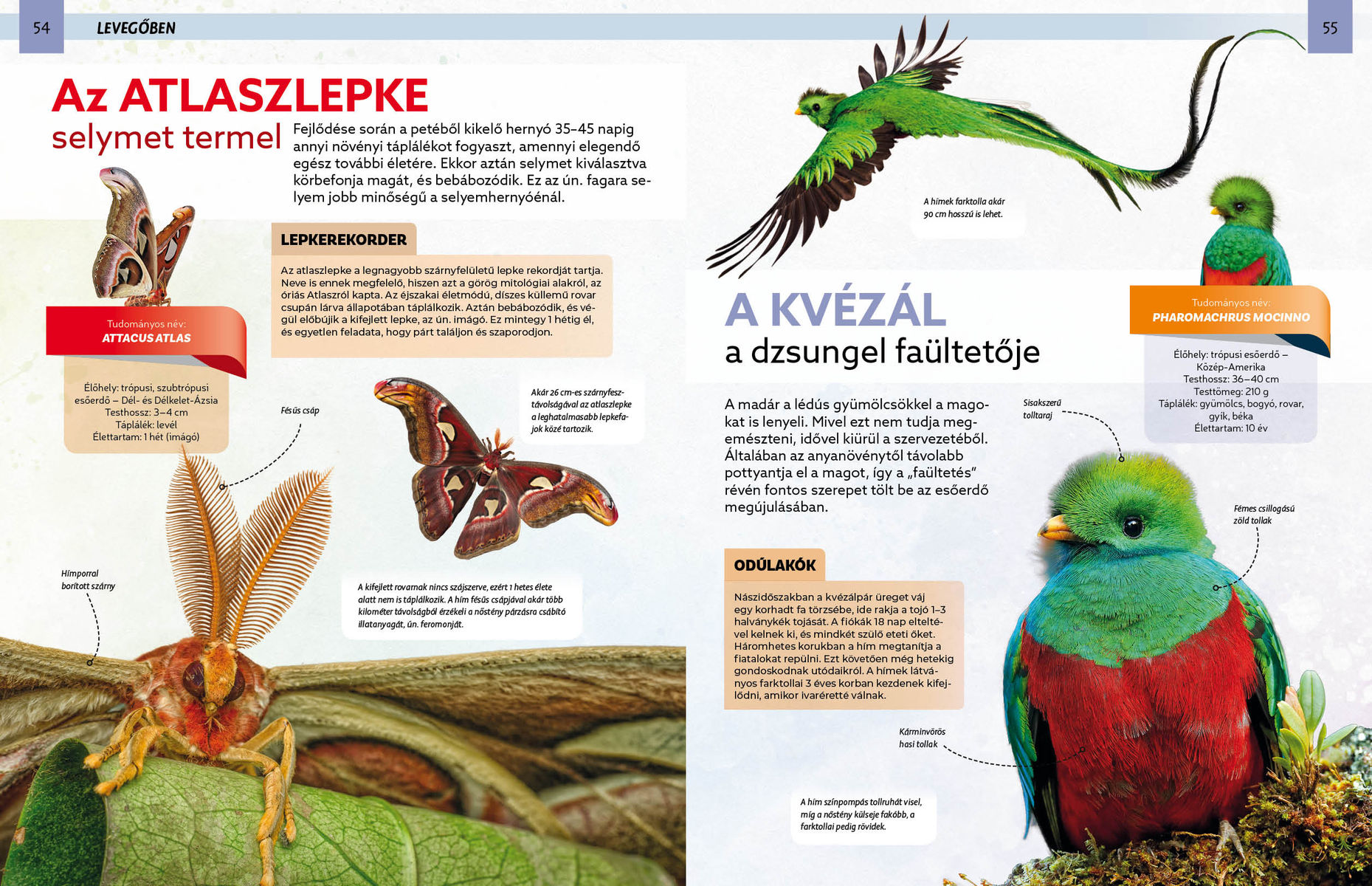 Szemtől szemben – Divatos állatok