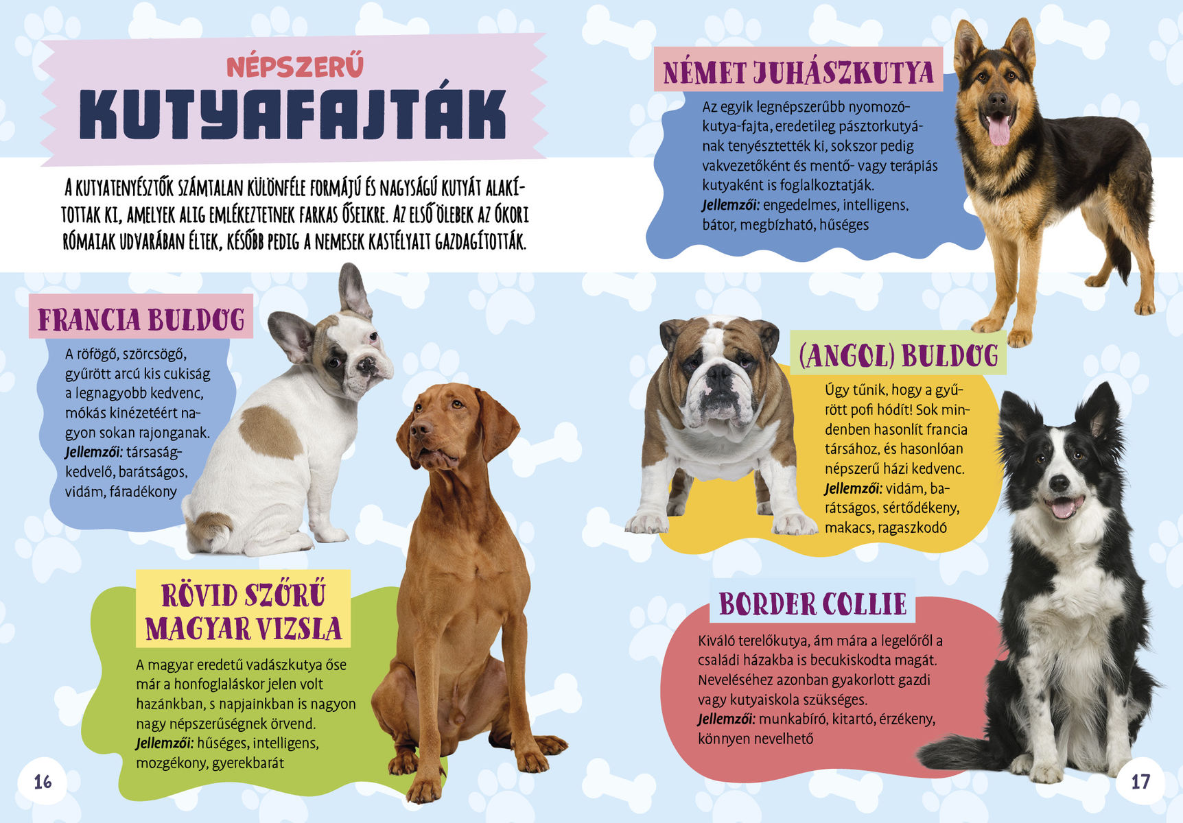 Kutyák, macskák és egyéb házi kedvencek