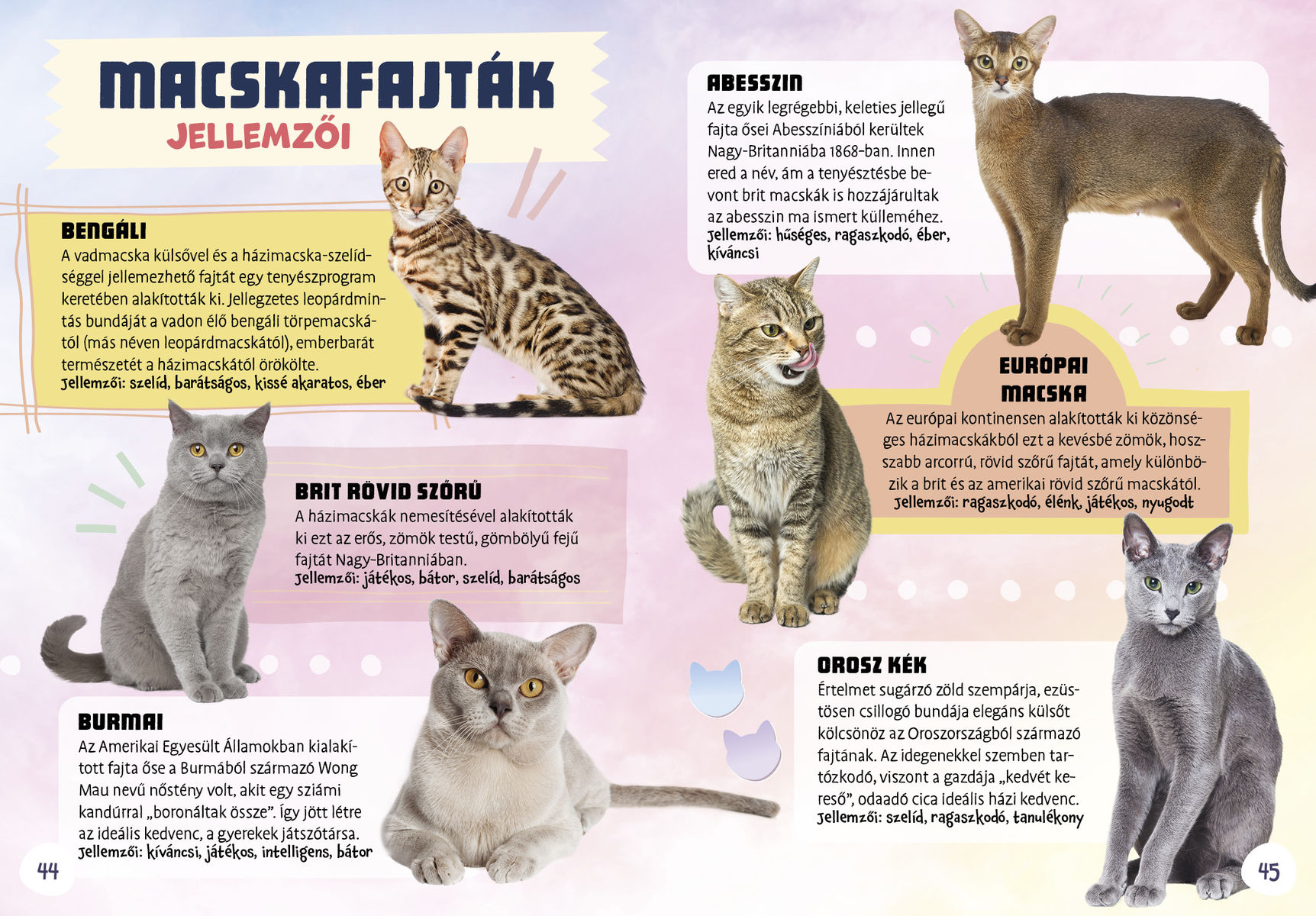 Kutyák, macskák és egyéb házi kedvencek