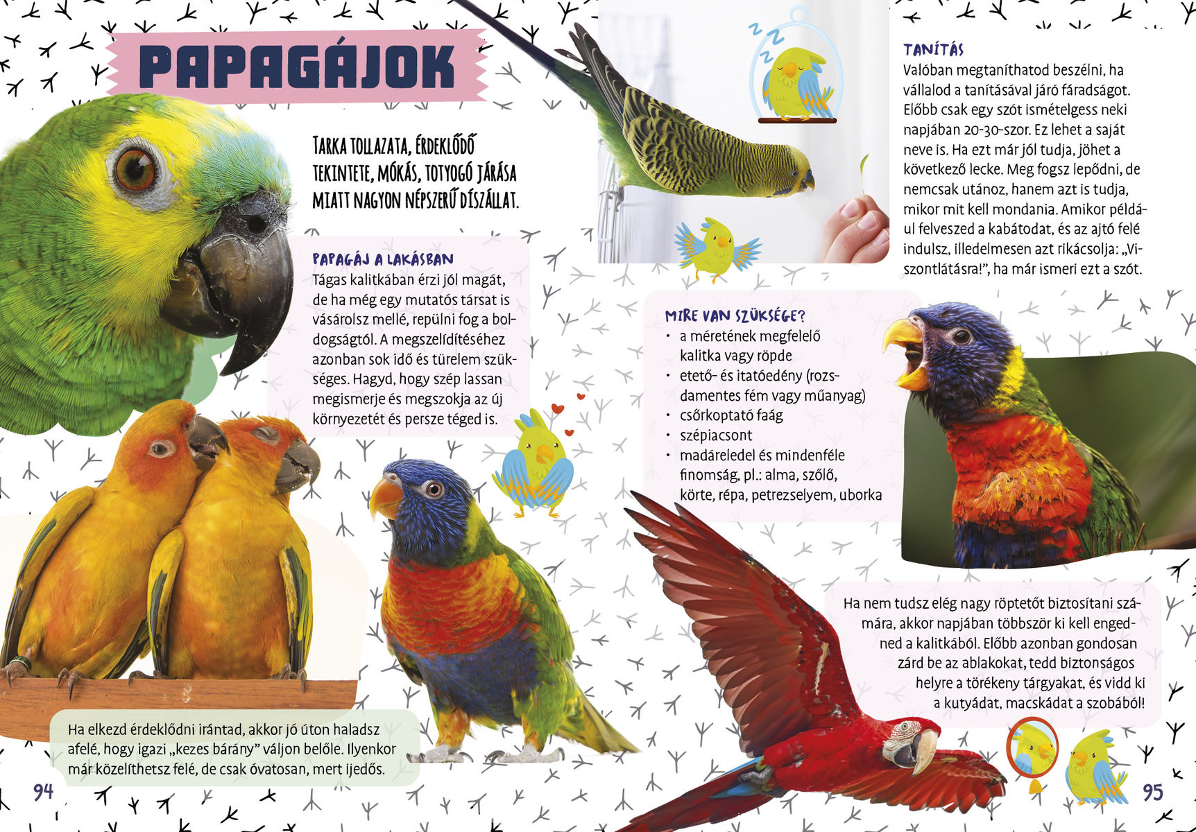 Kutyák, macskák és egyéb házi kedvencek