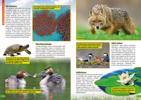 Nemzeti parkok Magyarországon