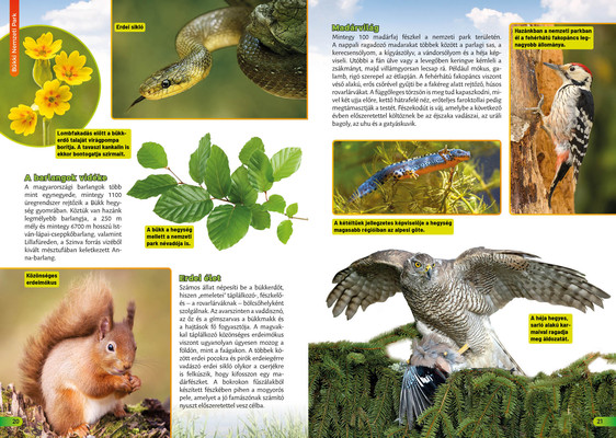 Nemzeti parkok Magyarországon