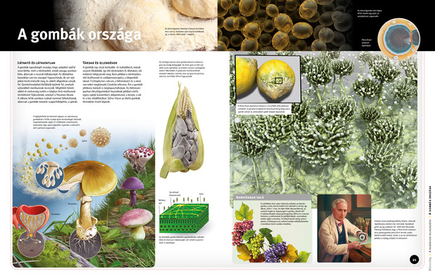 Mikrovilág – parányi élőlények nyomában