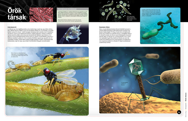 Mikrovilág – parányi élőlények nyomában