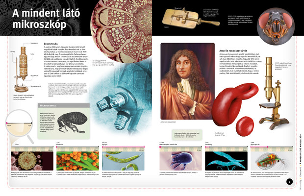 Mikrovilág – parányi élőlények nyomában