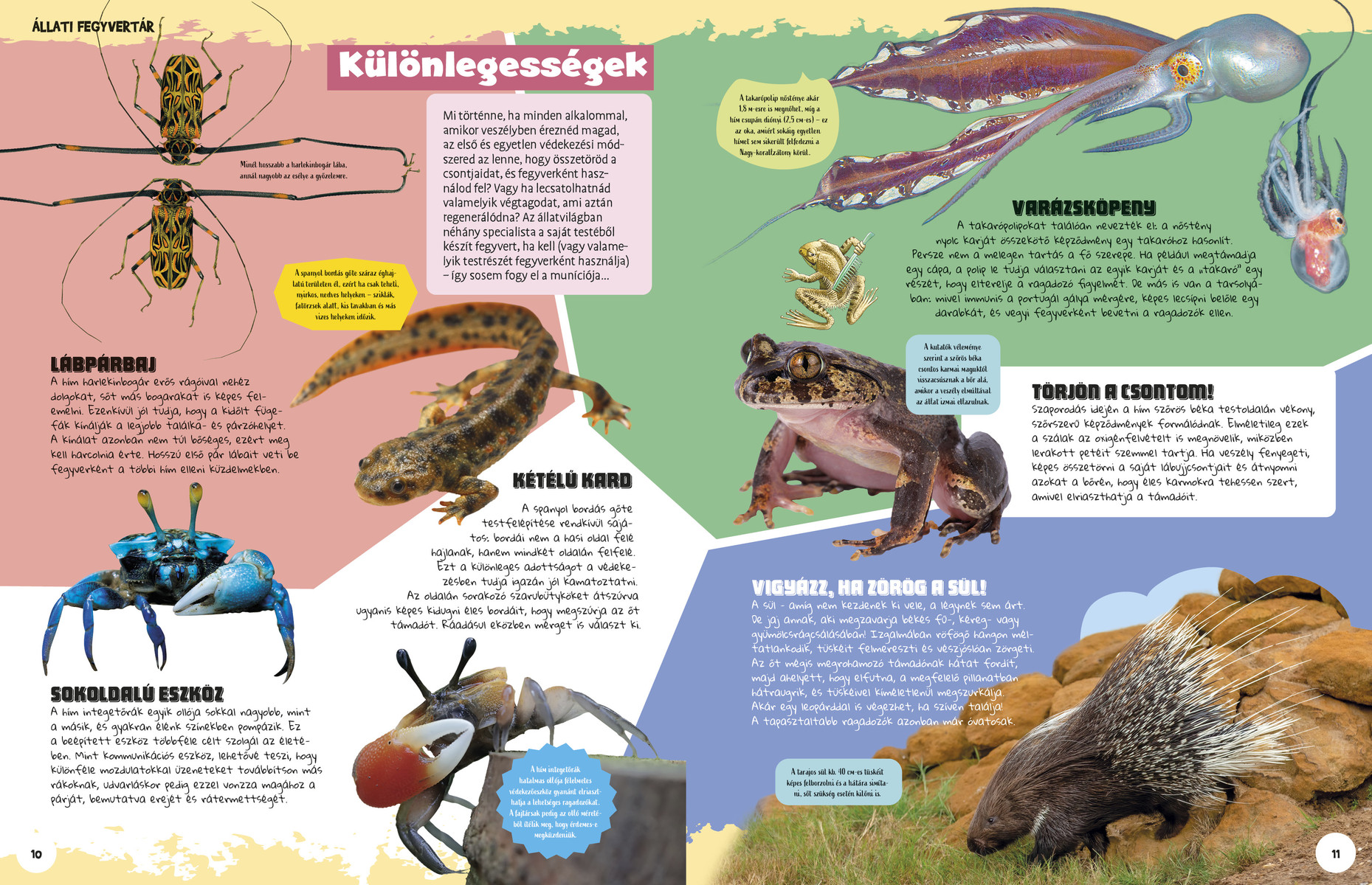 Ez állati! Harcosok a vadvilágban