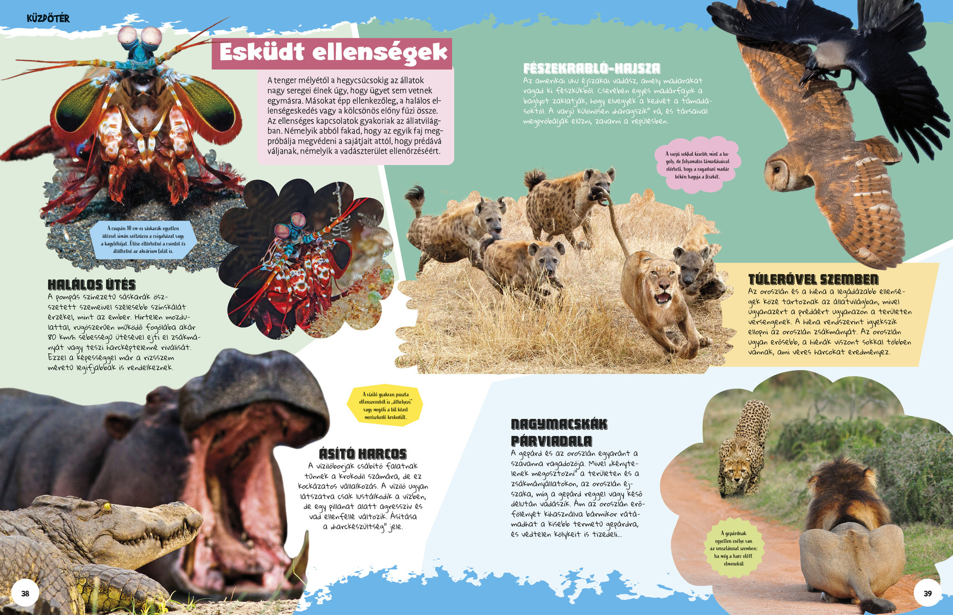 Ez állati! Harcosok a vadvilágban