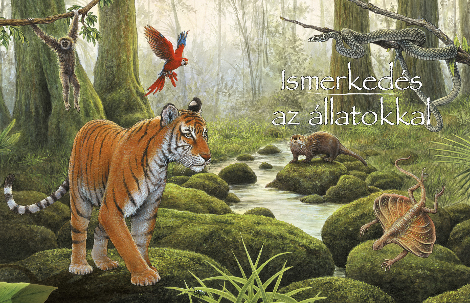 Képes állatenciklopédia