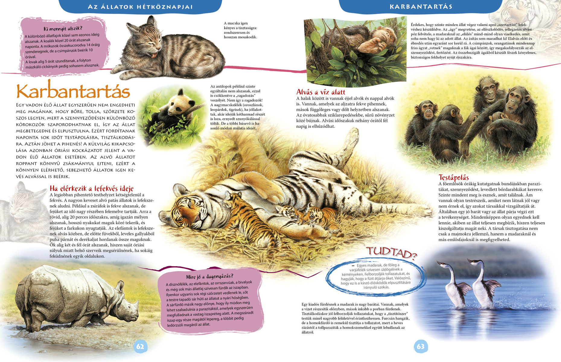 Képes állatenciklopédia