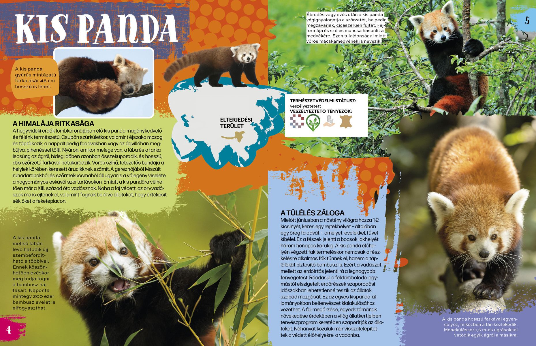 Veszélyeztetett állatok nyomában