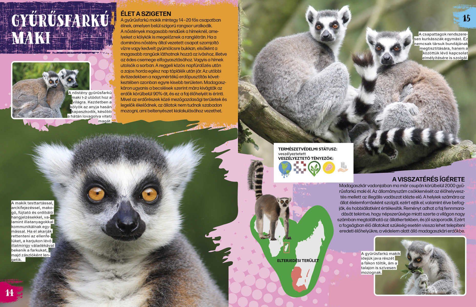 Veszélyeztetett állatok nyomában