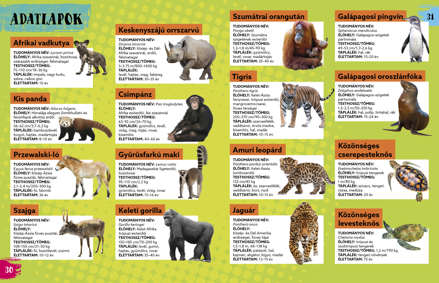 Veszélyeztetett állatok nyomában