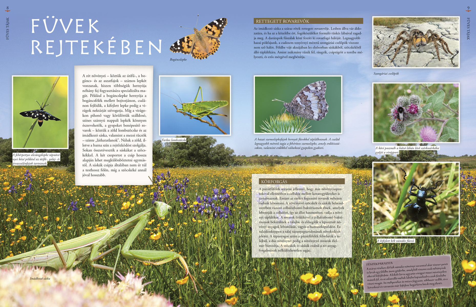 Hazánk élővilága