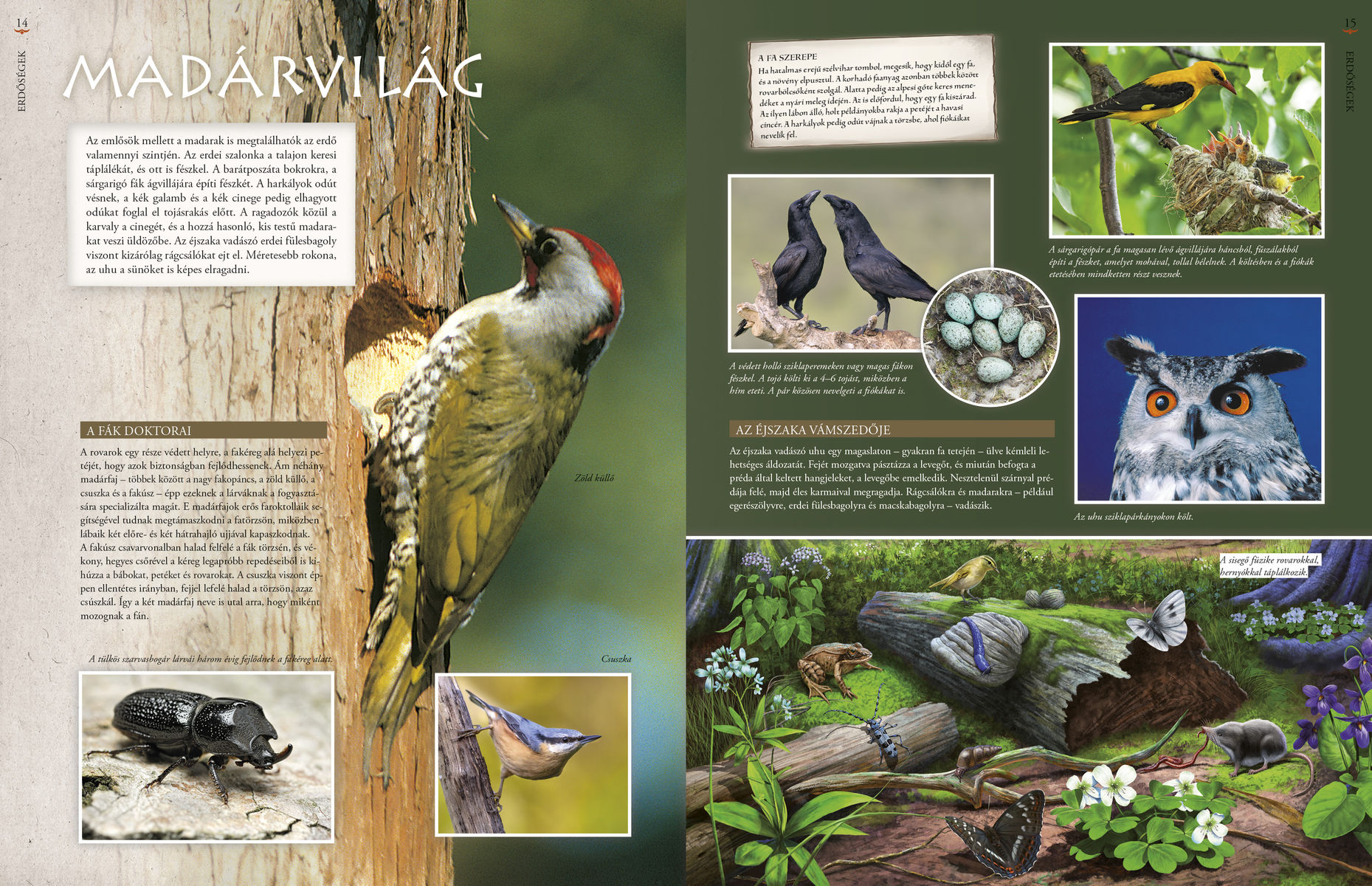 Hazánk élővilága