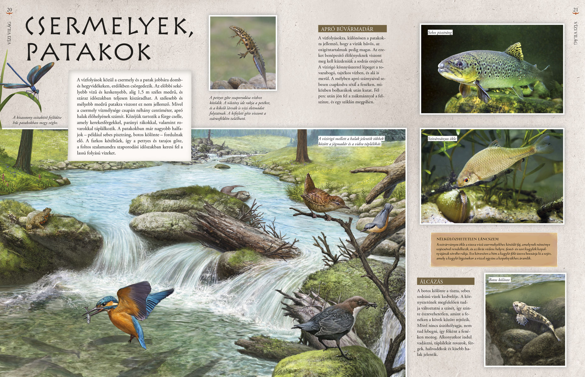 Hazánk élővilága