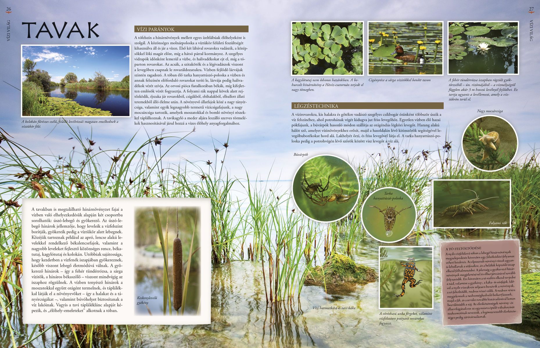 Hazánk élővilága