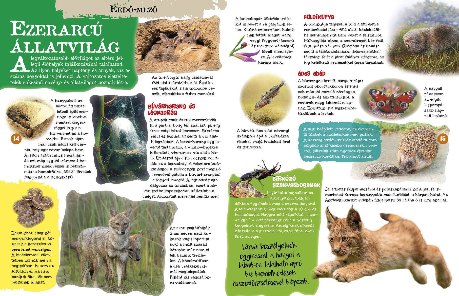 A természet világa