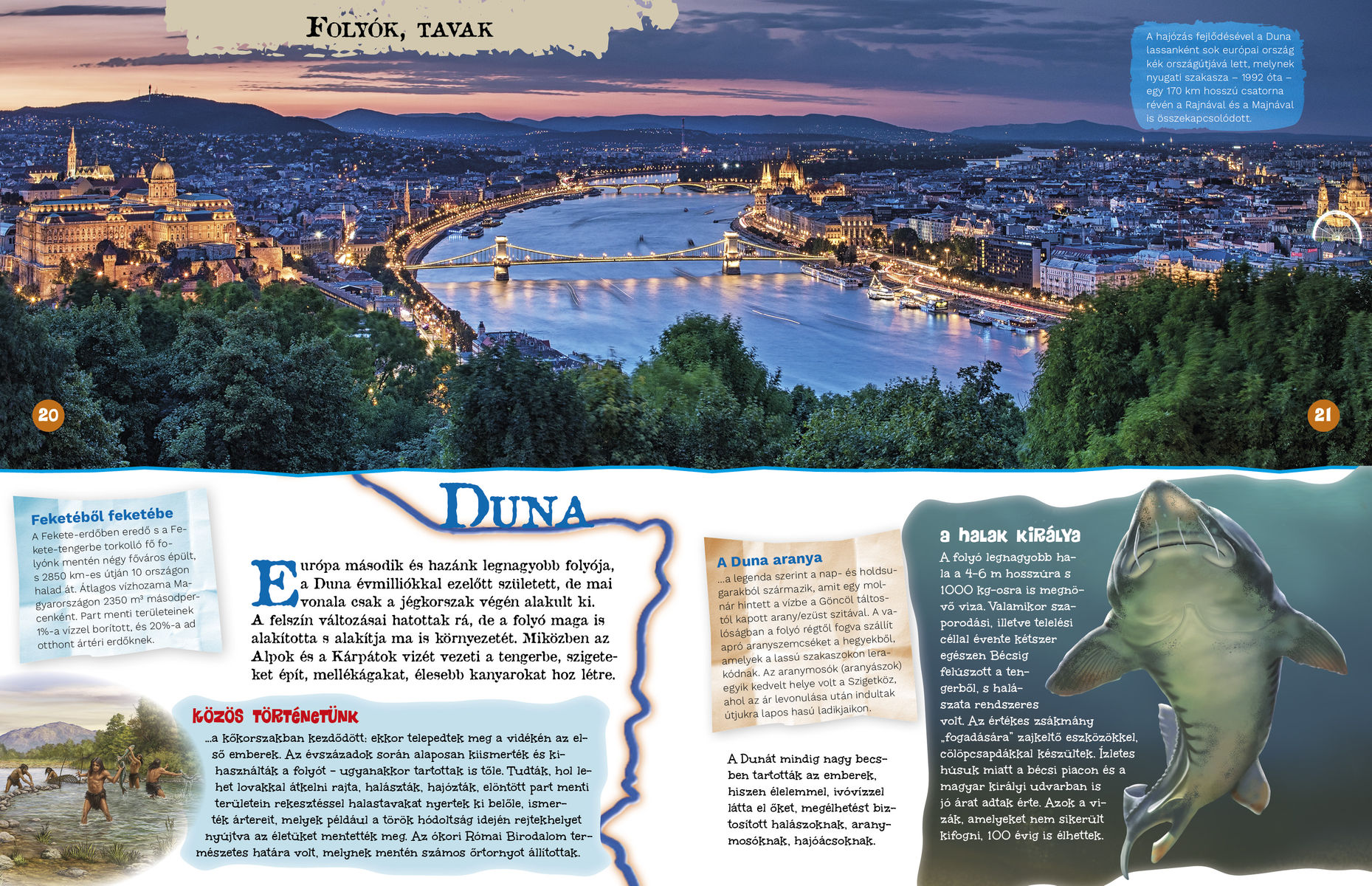 A természet világa