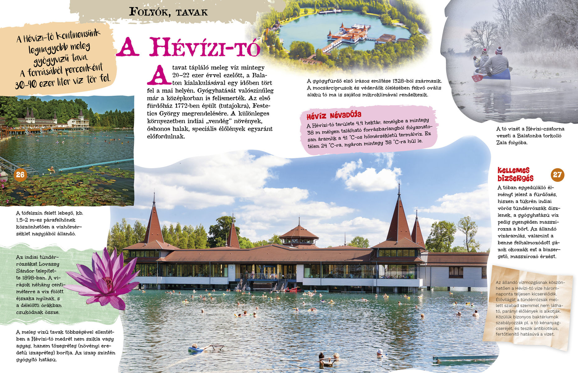 A természet világa