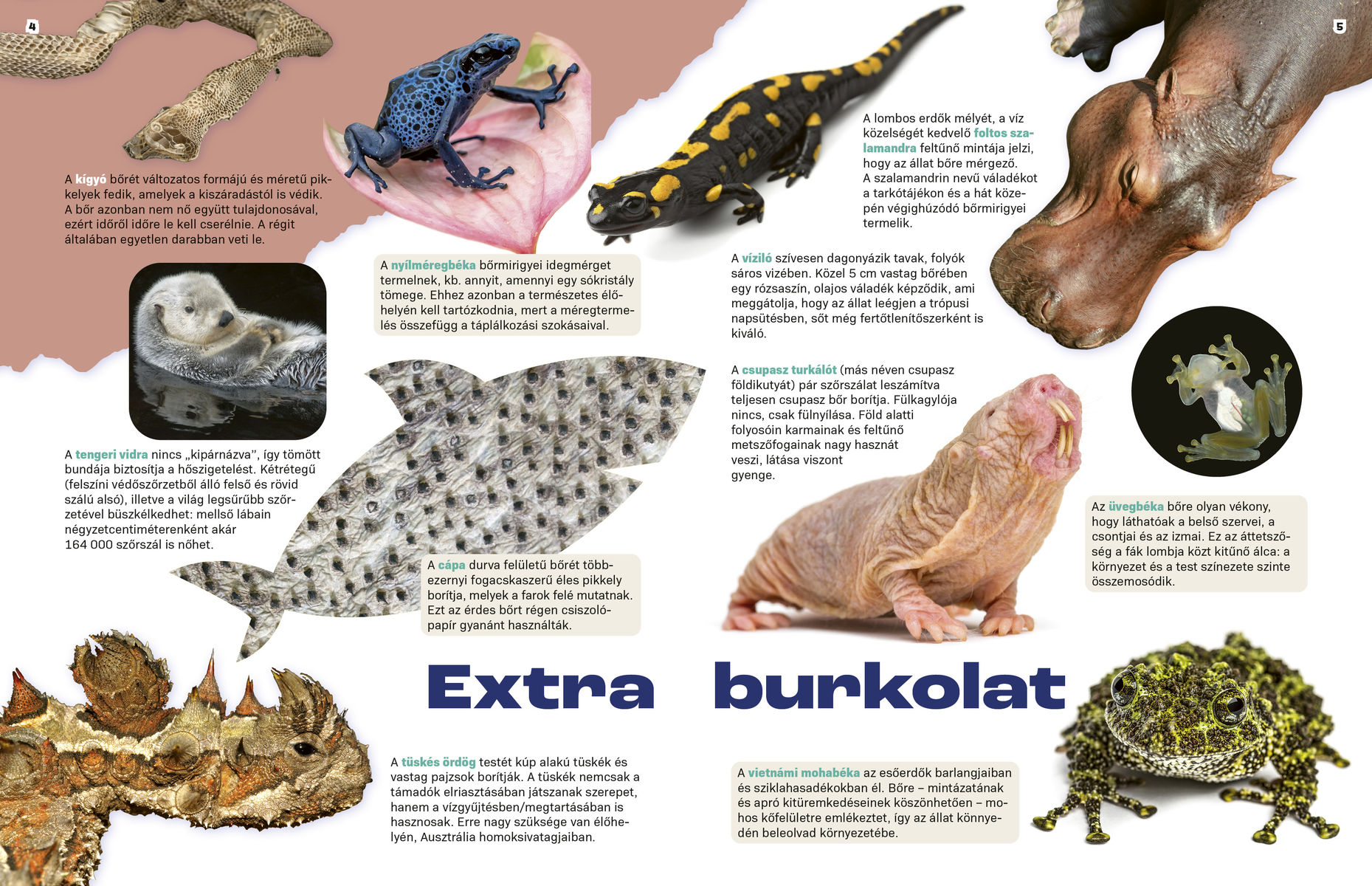 Elképesztő állatok