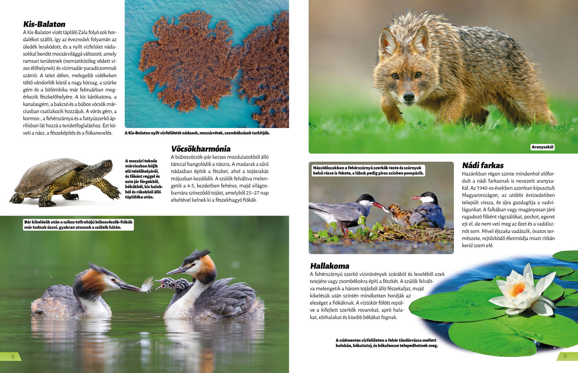 Magyarország nemzeti parkjai