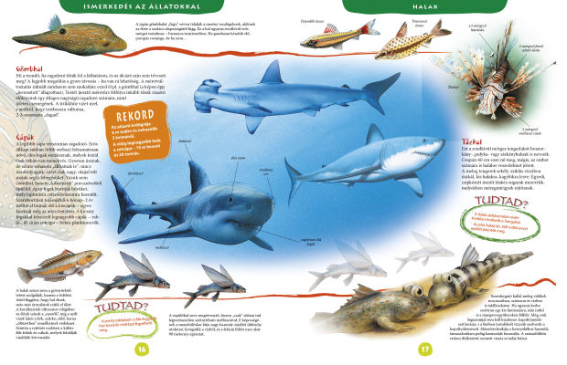 Nagy képes állatenciklopédia