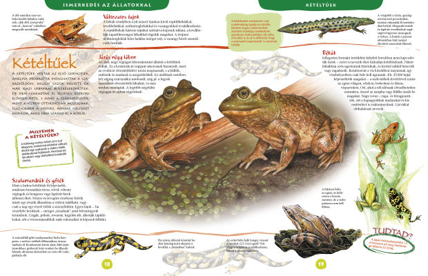 Nagy képes állatenciklopédia