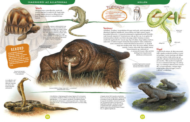 Nagy képes állatenciklopédia