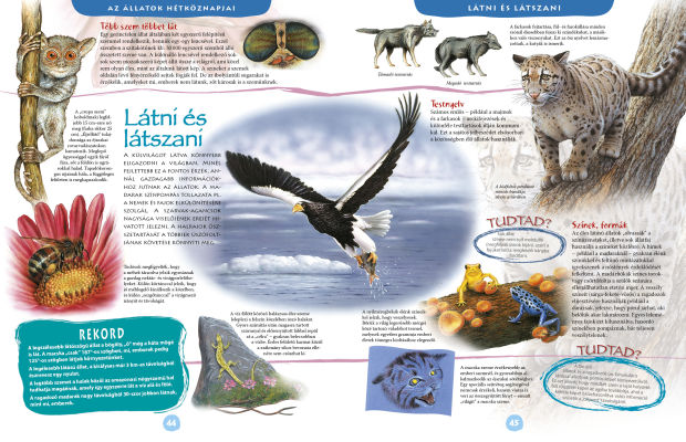 Nagy képes állatenciklopédia