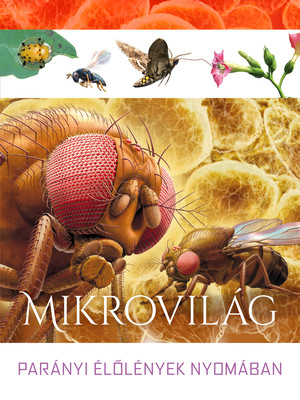 Mikrovilág – parányi élőlények nyomában